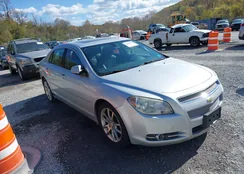 1G1ZE5E13BF258674: 43498440