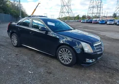 1G6DL5ED3B0128496: 43499028