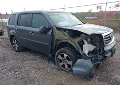 5FNYF4H40CB060429: 43498356