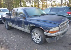 1B7GL22N6YS729162: 43499520