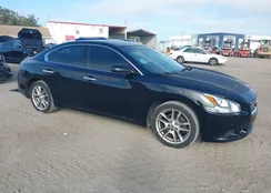 1N4AA5AP8EC433748: 43499752