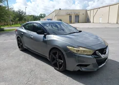 1N4AA6AP6JC366440: 43499846