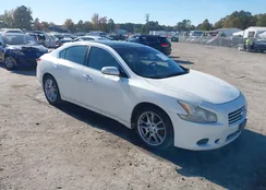 1N4AA5AP1BC812778: 43499140