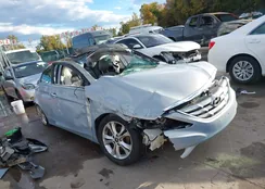 5NPEC4AC9DH608265: 43499278