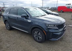 KNDRGDLG6N5122049: 43500210