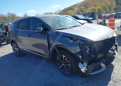 5XYK33AF5PG038008: 43500302