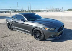 1FA6P8AM2F5309041: 43501534