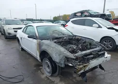 1FAFP40464F125870: 43501805