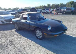 ZARBA5414E1020331: 43501066