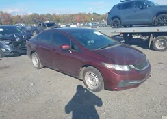 19XFB2E53FE039590: 43503547