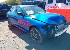 ZARFANBN0P7672788: 43503103