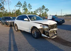 WA1LFAFP3BA055779: 43504450