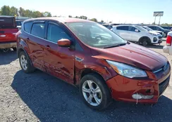 1FMCU0G77FUA03737: 43504680