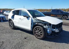 JM3KFBDL1H0206745: 43504717