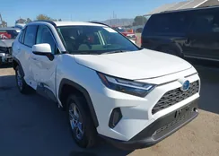 JTMMWRFV4PD201006: 43504915