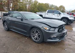 1FA6P8TH0H5245486: 43504914