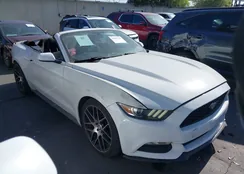 1FATP8EM3F5427080: 42507748