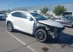 JTJBJRBZ6F2028997: 42510808