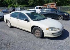 2B3HD46RX4H620202: 42517181