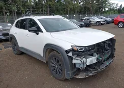 7MMVABCM3PN137749: 42520269