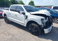 1FTFW7LD7RFB66087: 42526579