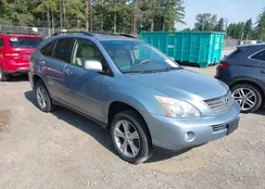 JTJHW31UX82059543: 42531117