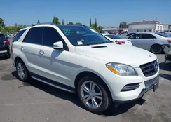 4JGDA5JB6DA216944: 42532706