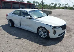 1G6DB5RK3N0115148: 42535292