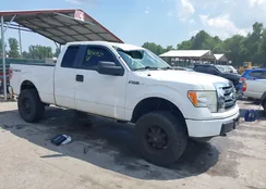 1FTFX1EF5BFC30190: 42541927