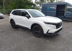 7FARS5H54RE004781: 42543520