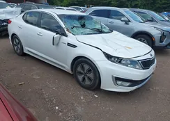 KNAGM4AD8D5052798: 42545654