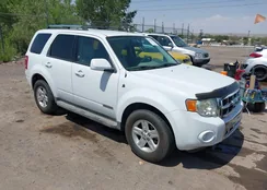 1FMCU59H38KC99714: 42547835