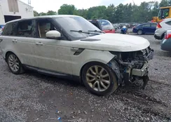 SALWR2PF5GA591381: 42549766