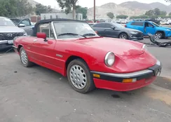 ZARBA5418G1040472: 42551536