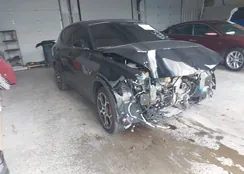 ZASPATDW2R3060146: 42561372