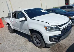 1GCGSCEN2M1179625: 42564196