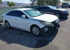 KMHE24L3XHA068918: 42567552