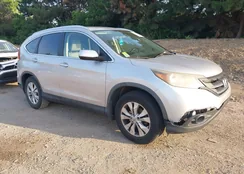 5J6RM4H75CL004188: 42574465