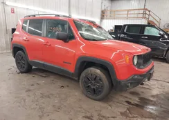 ZACCJBAB0JPH67560: 42581158