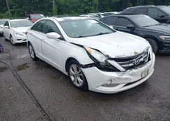 5NPEC4AC4BH097299: 42587824