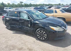 1N4AL3AP5GC119606: 42589824