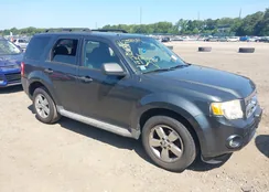 1FMCU03789KC31316: 42589101