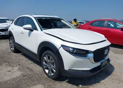 3MVDMBCMXRM648888: 42592251