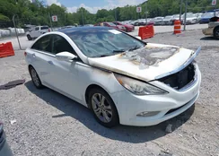 5NPEC4AC0D8633071: 42593355