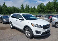 5XYPGDA58GG110410: 42594704