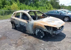 JM3KE4CY8E0387950: 42599149