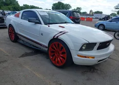 1ZVHT80N585158740: 42600822