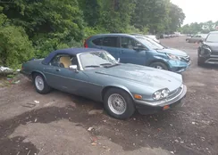 SAJNW4846LC166434: 42600342