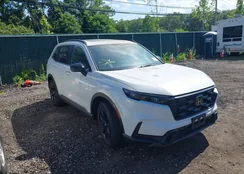 2HKRS6H55PH816087: 42601156