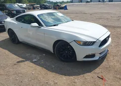 1FA6P8AM9G5289677: 42602364